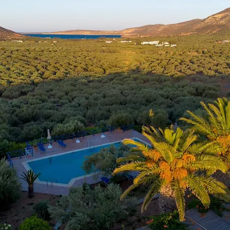 Ferienhaus Olive Garden